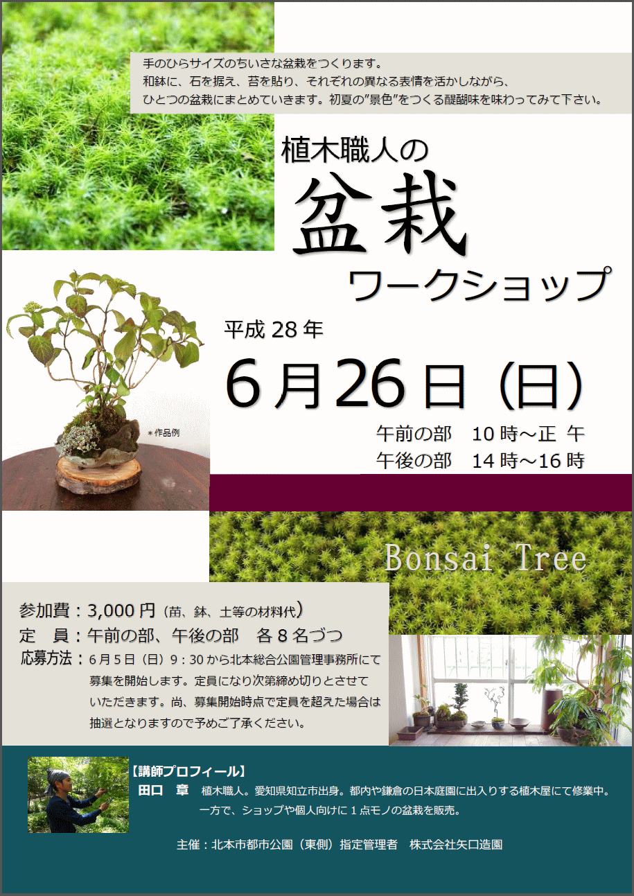 植木職人の 盆栽ワークショップ